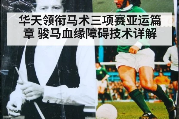 华天领衔马术三项赛亚运篇章 骏马血缘障碍技术详解